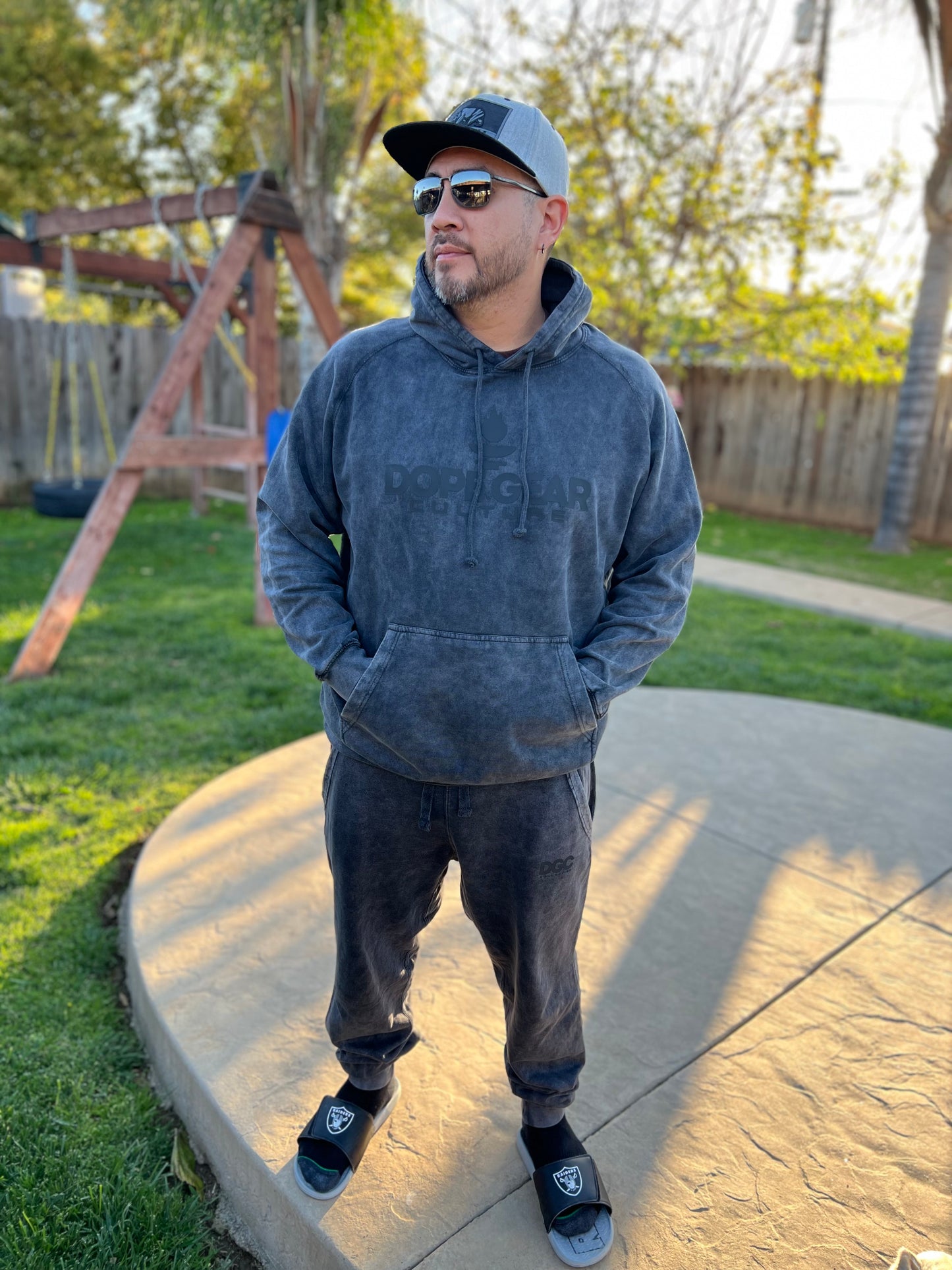 DGC simplicity urban hoodie