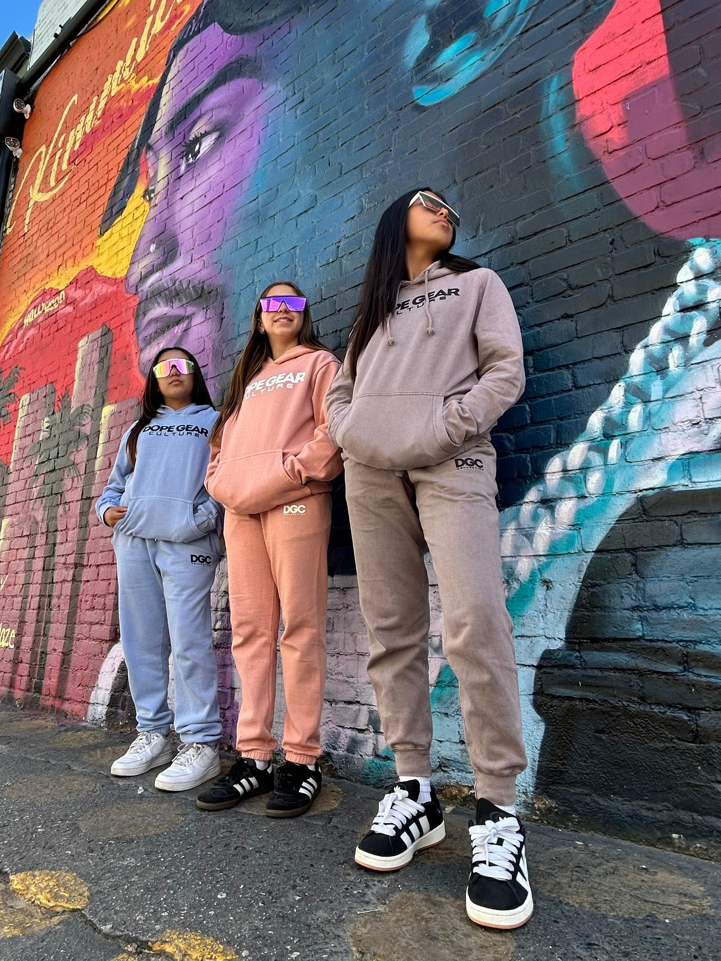 DGC simplicity urban hoodie