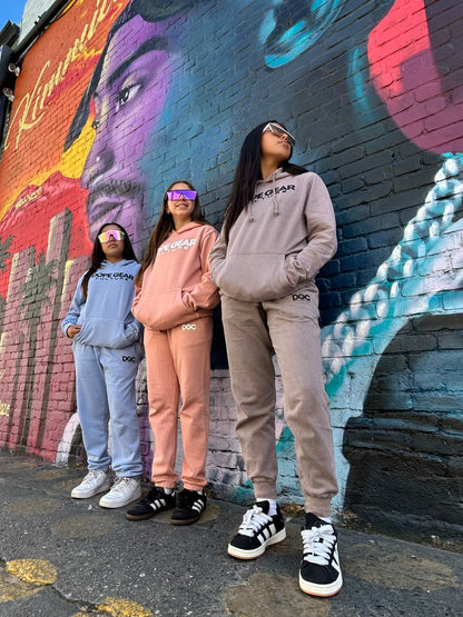 DGC simplicity urban hoodie