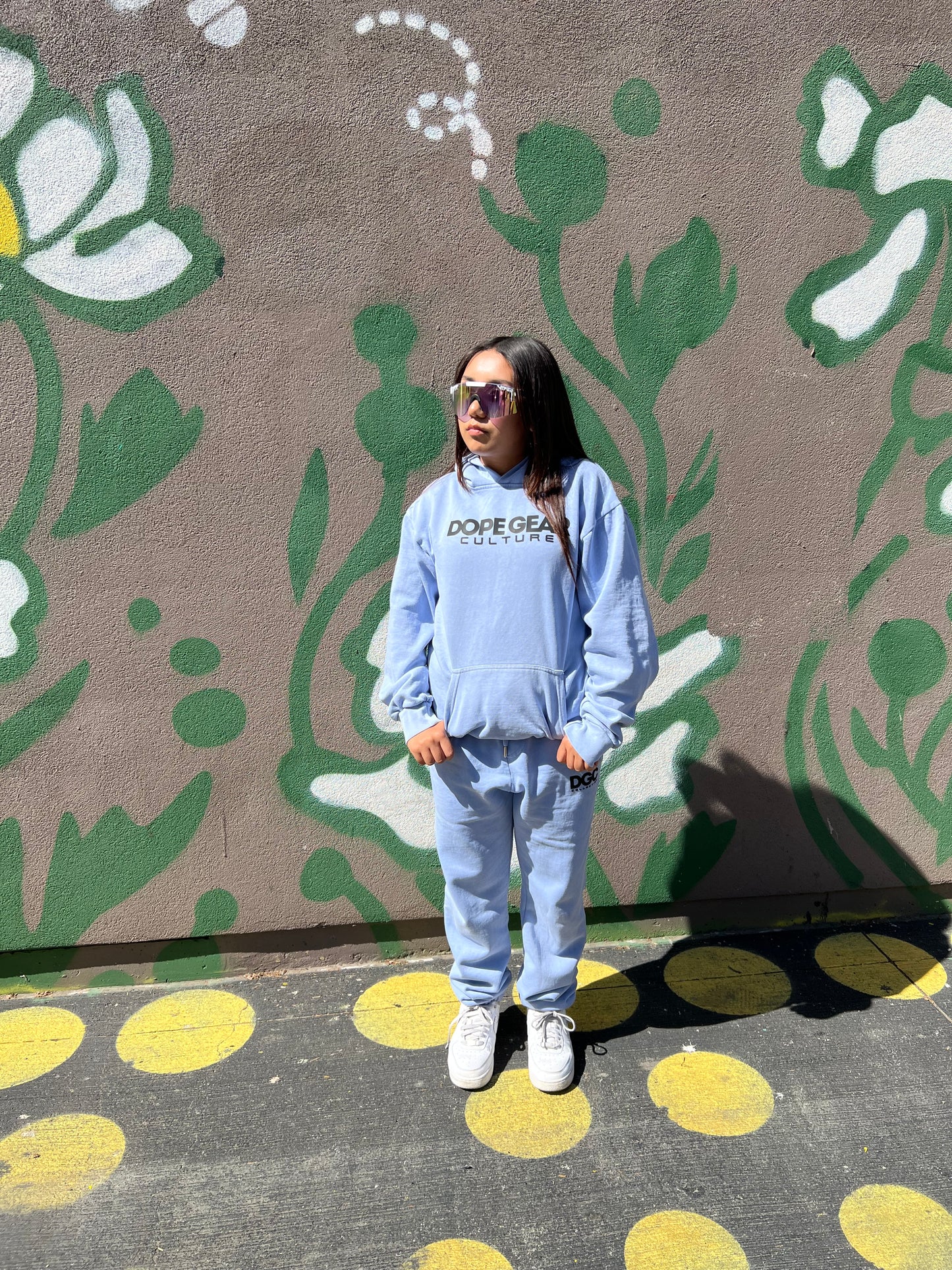 DGC simplicity urban hoodie