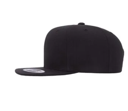 LH Lions Flat Bill snapback